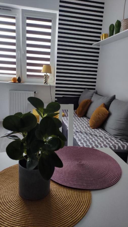 Apartament 60 Płock Esterno foto